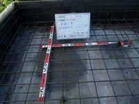 03 (800x600).jpg